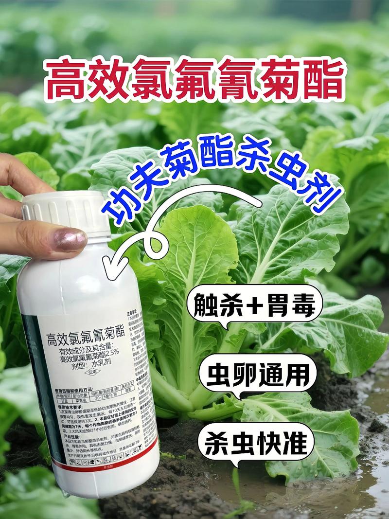 玉林代生中心:农药对供卵代生妈妈的危害